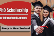 Photo of Auckland University of Technology Scholarship in Effects of Organic Enrichment for International Students in New Zealand 2022/2023