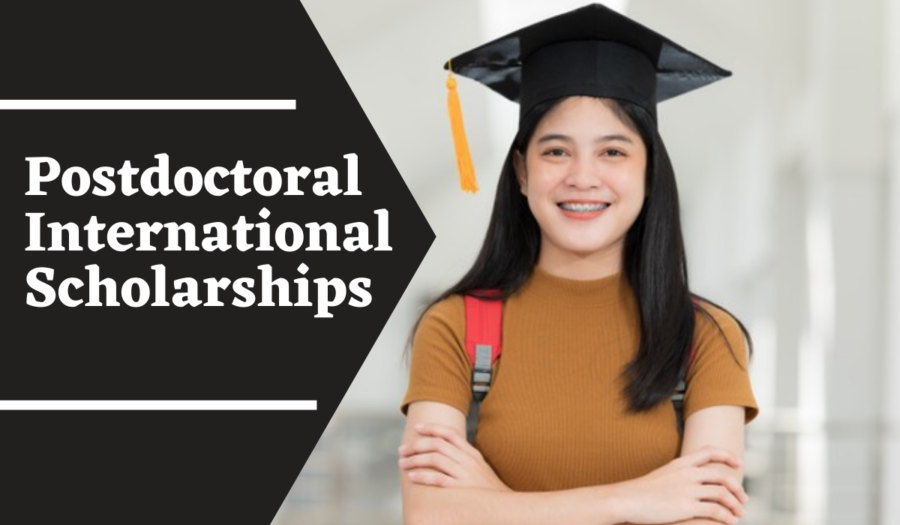 Erasmus University Rotterdam Postdoctoral International Scholarships in Business Developer Energy Transition in the Netherlands for 2022/2023