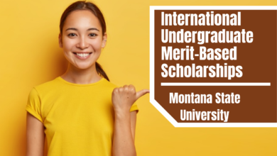 Montana State University International Undergraduate Merit-Based Scholarships in USA for 2023