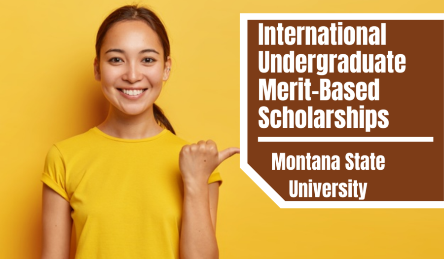 Montana State University International Undergraduate Merit-Based Scholarships in USA for 2023