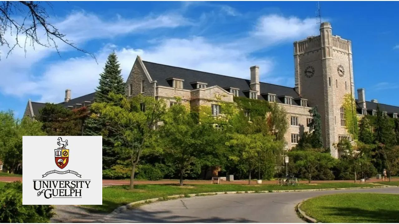 The University Of Guelph Commonwealth Scholarships For Developing Countries, Canada for 2023/2024