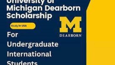 The University Of Michigan Dearborn Undergraduate Scholarship for International Students in the USA for 2023