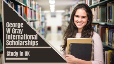 The University of Hull George W Gray International Scholarships in the UK for 2023/2024
