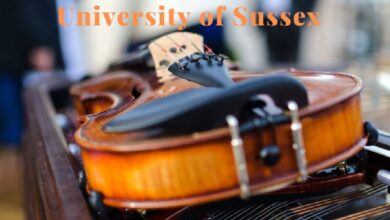 The University of Sussex Dr. John Birch Music Scholarship for International Students in the UK for 2023/2024
