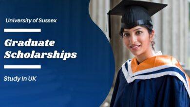 The University of Sussex Graduate Scholarships in the UK for 2023/2024