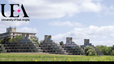 University of East Anglia Undergraduate Scholarship for International Students in the UK for 2023