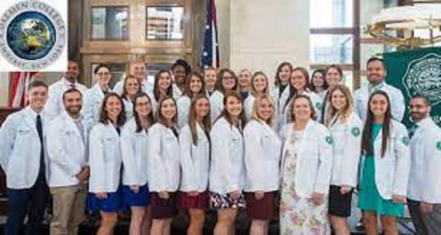 Daemen College Founders Scholarship for International Students, USA 2023