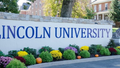 Lincoln University Doctoral Scholarships, New Zealand for 2023