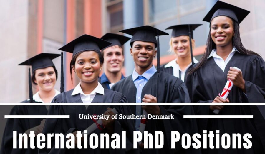 The University of Southern Denmark International Ph.D. Positions at the Intersection of Business Administration and Computer Science, Denmark 2024
