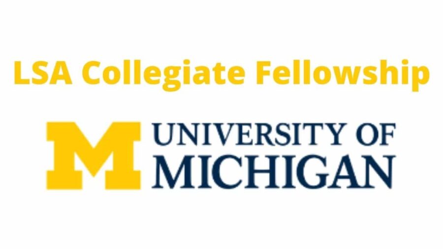 University of Michigan LSA Collegiate Fellowship for Exceptional Scholars, USA 2023