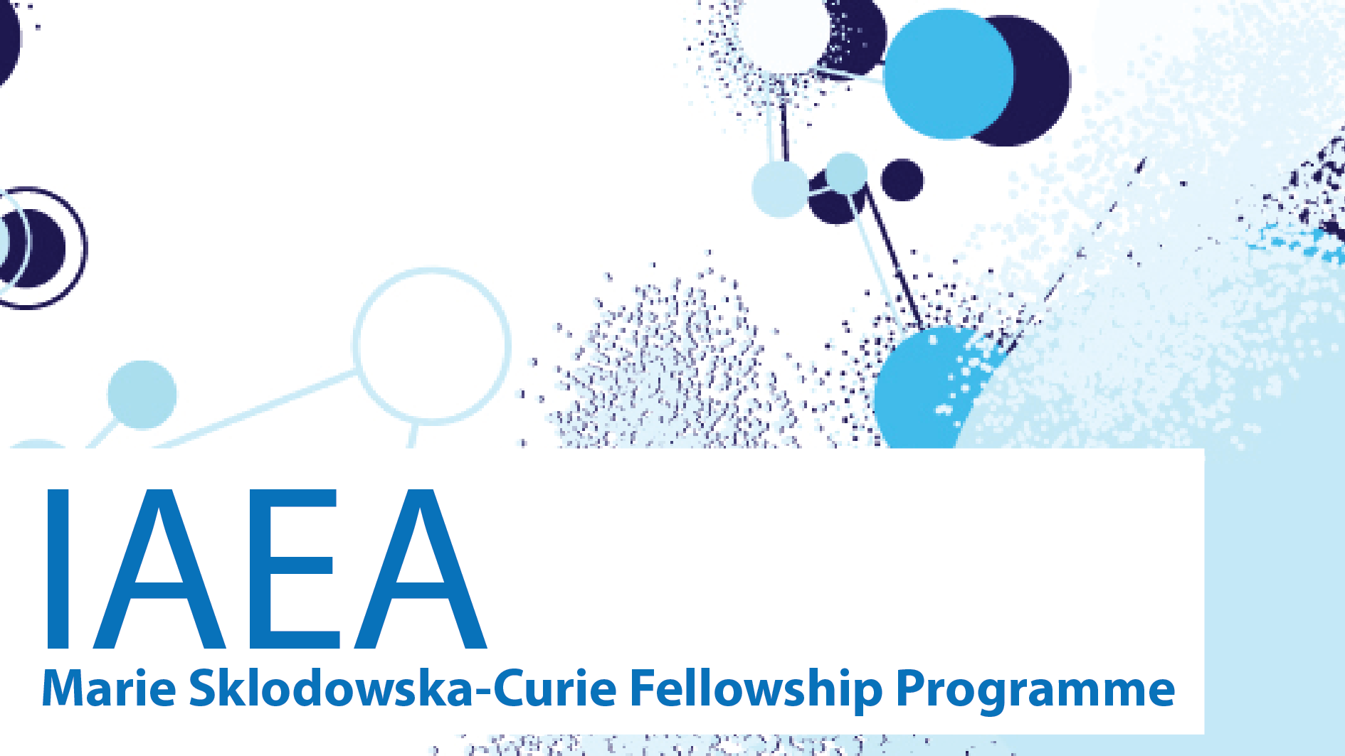 IAEA Marie Sklodowska-Curie Fellowship Programme at the University of Birmingham, UK 2023