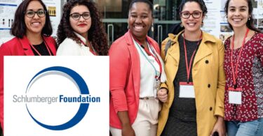 The Schlumberger Foundation Fellowship at Cranfield University, UK 2023
