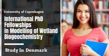 University of Copenhagen International PhD Fellowships in Modelling of Wetland Biogeochemistry, Denmark 2023