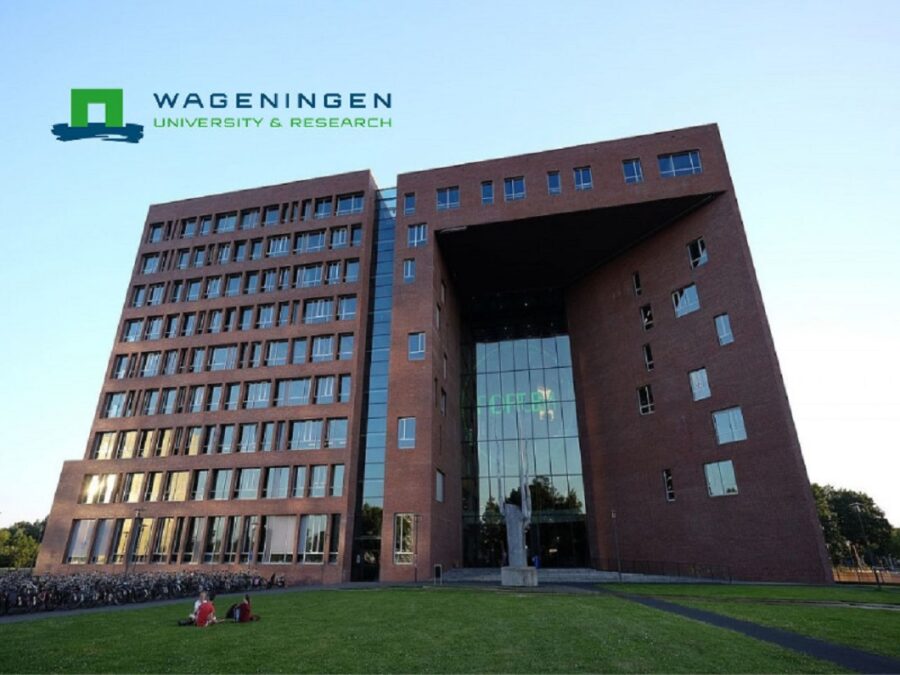 Wageningen University Africa Scholarship Program for African Students Netherlands, 2023