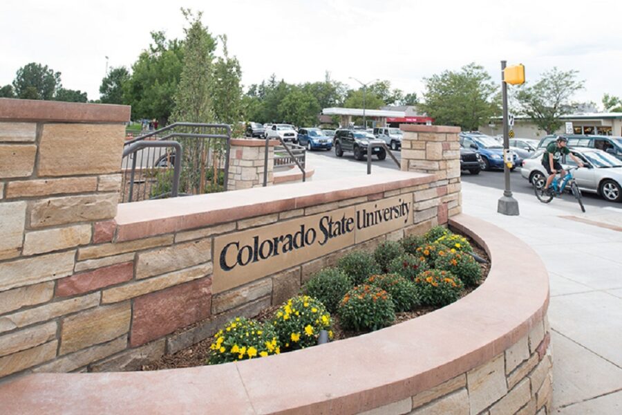 Green and Gold Scholarships for Non-Residents at Colorado State University, USA 2024