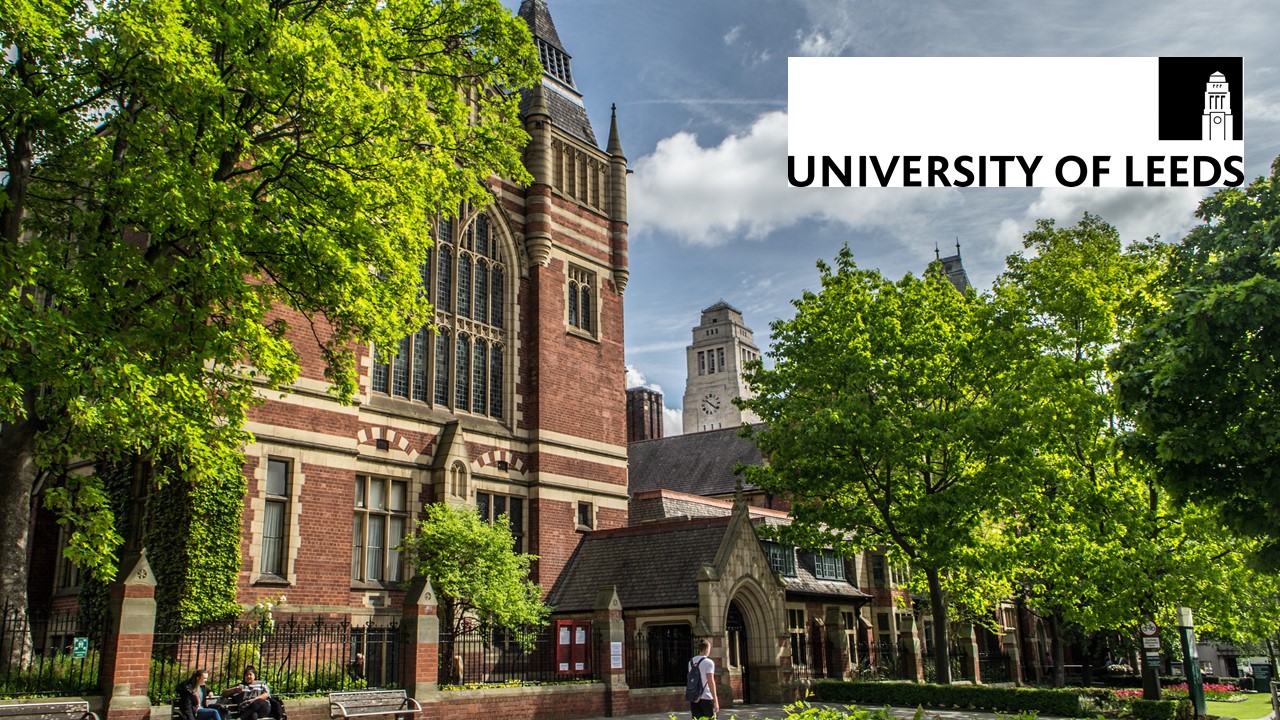 University of Leeds School of Fine Art, History of Art, and Cultural Studies International Excellence Scholarship, UK 2024