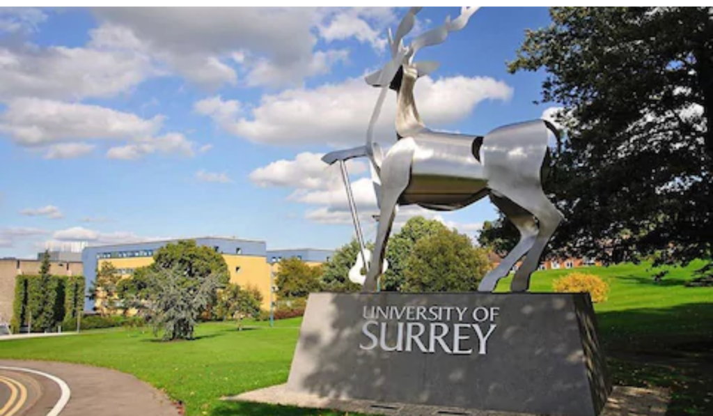 University of Surrey MBA Scholarship 2024 entry, UK
