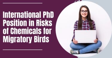 Fully Funded International PhD Position in Risks of Chemicals for Migratory Birds at Wageningen University & Research, Netherlands 2024