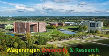 Wageningen University & Research International PhD Position in Unravelling Plasma Membrane Structure in Response to Environmental Stimuli, Netherlands 2024